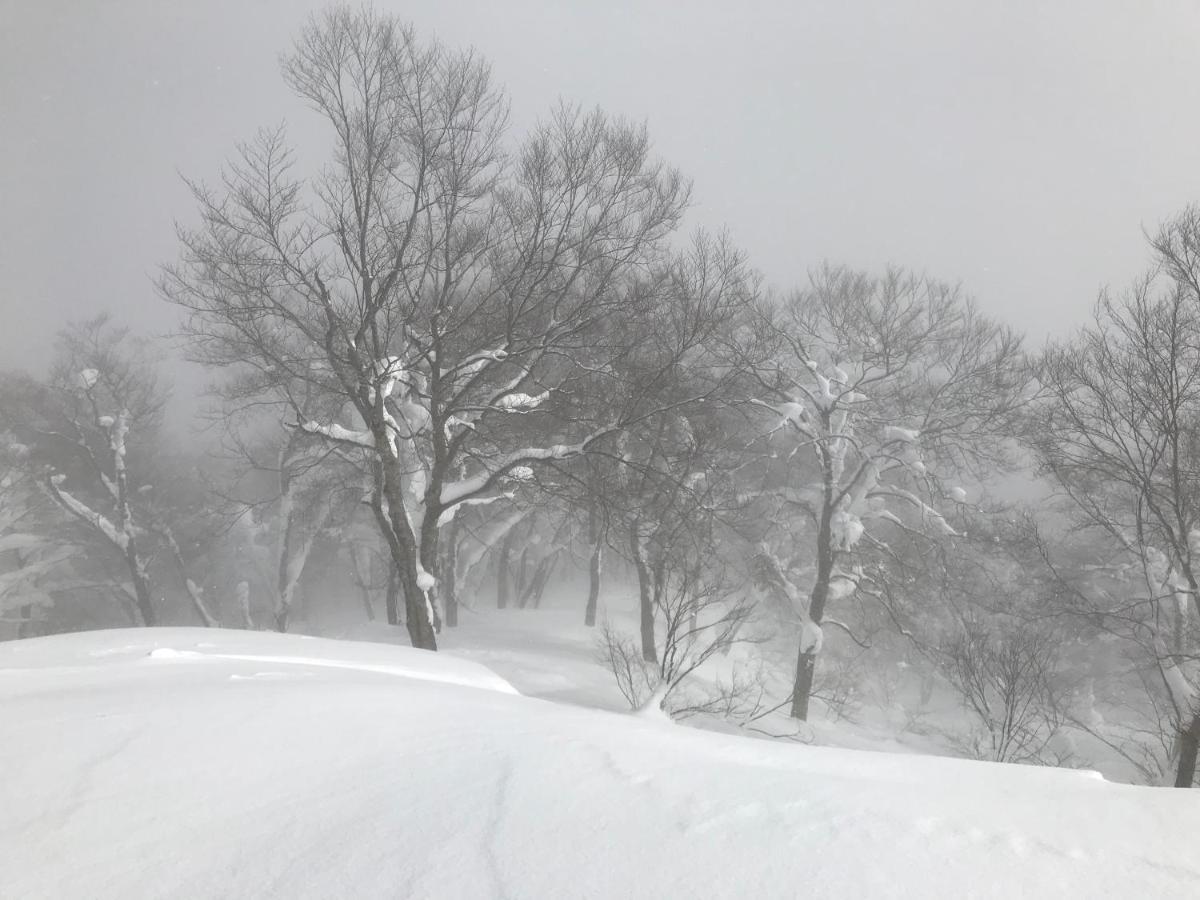 Hakuba Lodge Omusubi 小谷村 エクステリア 写真